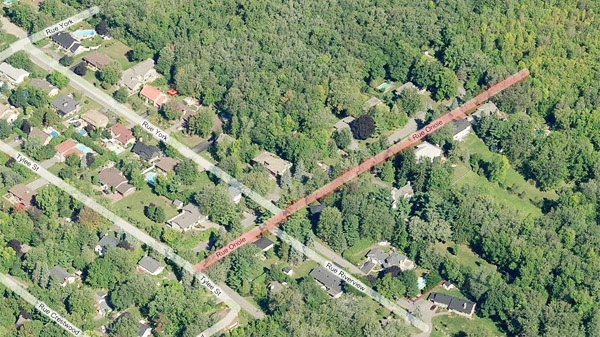 The homicide took place on Oriole Road (in red) which extends into the forest. (Image Bing maps)