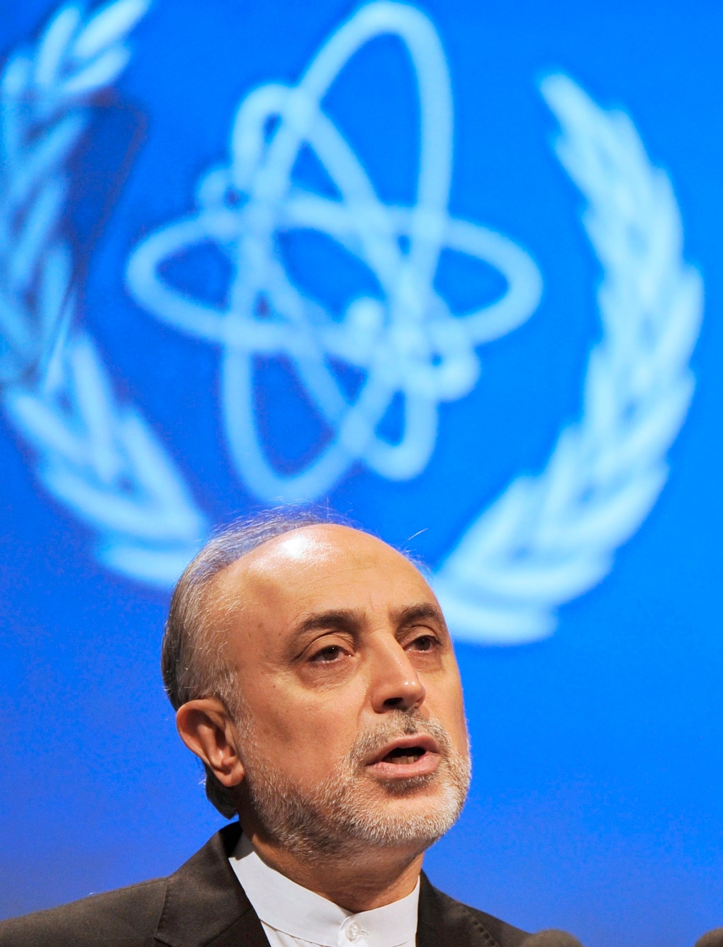 Head of Atomic Energy Organization of Iran Ali Akb
