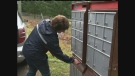 Community mailbox stolen