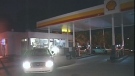 Gatineau police managed to arrest two robbery suspects before they fled from a Shell gas station in the city's Hull sector, Thursday, Aug. 18, 2011. Courtesy: TVA