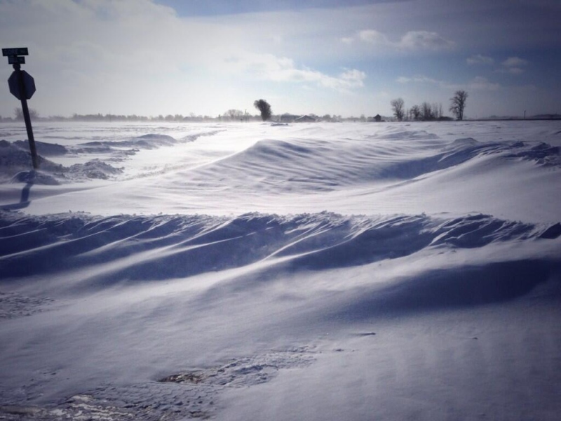 Snow drifts stand as tall as six feet in some areas of Essex County on Tuesday, Jan. 7. (Sasha Long/ CTV Windsor)