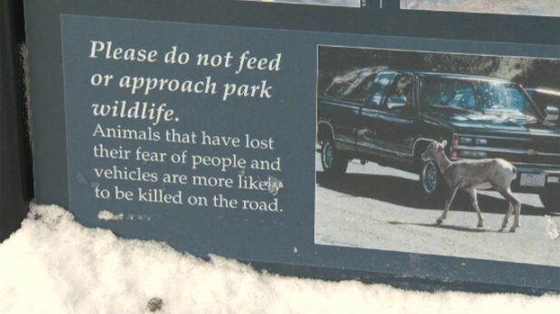 Parks Canada wildlife sign