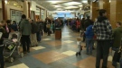 Hundreds of Albertans lined up at Brentwood Village Mall on Friday in the hope of receiving the flu immunization shot