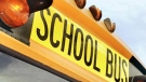 A school bus is shown in this undated photo. (File photo)
