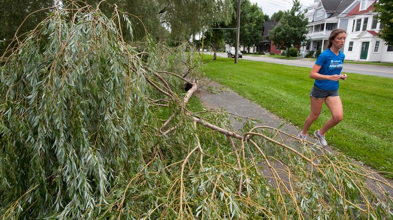 A runner makes her way past a downed tree top along Waterloo Row in Fredericton, N.B., on Monday, Aug. 29, 2011. (David Smith / THE CANADIAN PRESS)