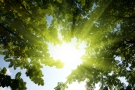 British researchers found exposure to sunlight alters the level of nitric oxide in the skin, dilating blood vessels and thus easing hypertension. (Iakov Kalinin/Shutterstock.com)