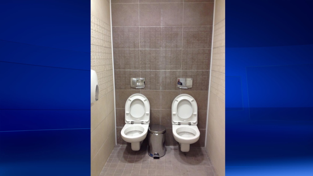 Twin toilets in Sochi
