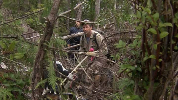 B.C. conservation officers hunt for a cougar that mauled a toddler on Wednesday, Aug. 31, 2011.