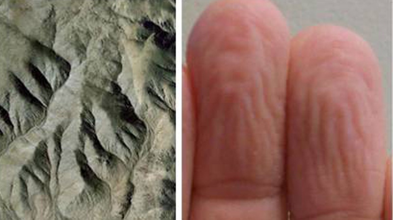 This photograph shows (on the left) an illustrative example of the relevant kind of mountain with the author's fingertips shown on the right. (Forbes)