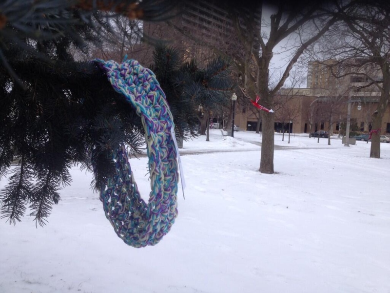 Yarn-bombers descend on downtown Windsor Friday Jan.24, covering trees and benches with scarfs. (Chris Campbell/ CTV Windsor)