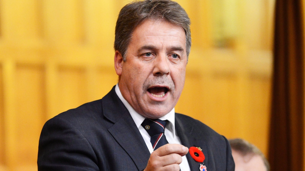 Ruin controller behagelig Peter Stoffer proposes new name, other changes for NDP | CTV News