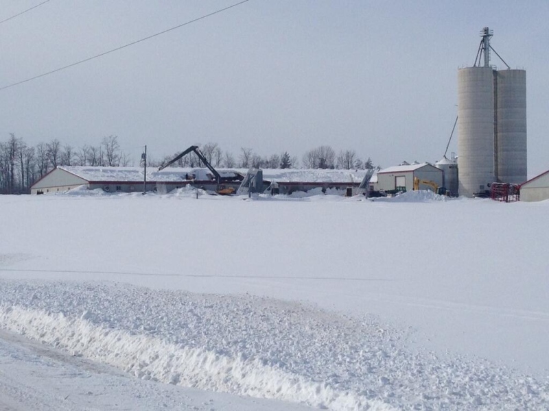 The partially collapsed roof of a pig barn is seen near Brussels, Ont. on Tuesday, Feb. 4, 2014. (Scott Miller / CTV London)