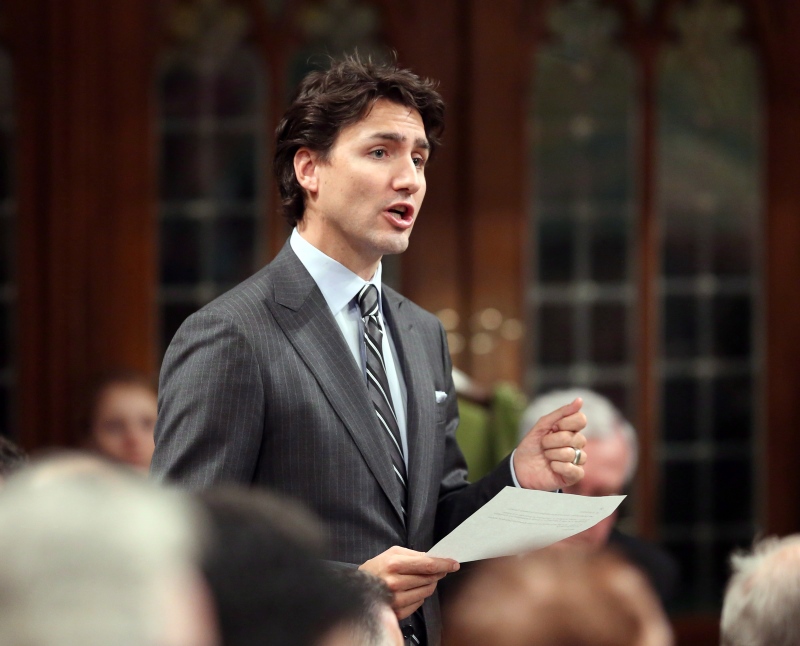 Liberal Leader Justin Trudeau stands in the House of Commons during Question Period in Ottawa, Tuesday, February 4, 2014. (Fred Chartrand / THE CANADIAN PRESS)