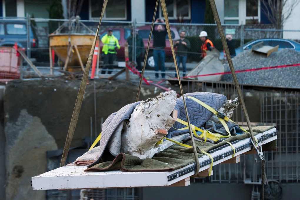 Mammoth tusk found at Seattle construction site