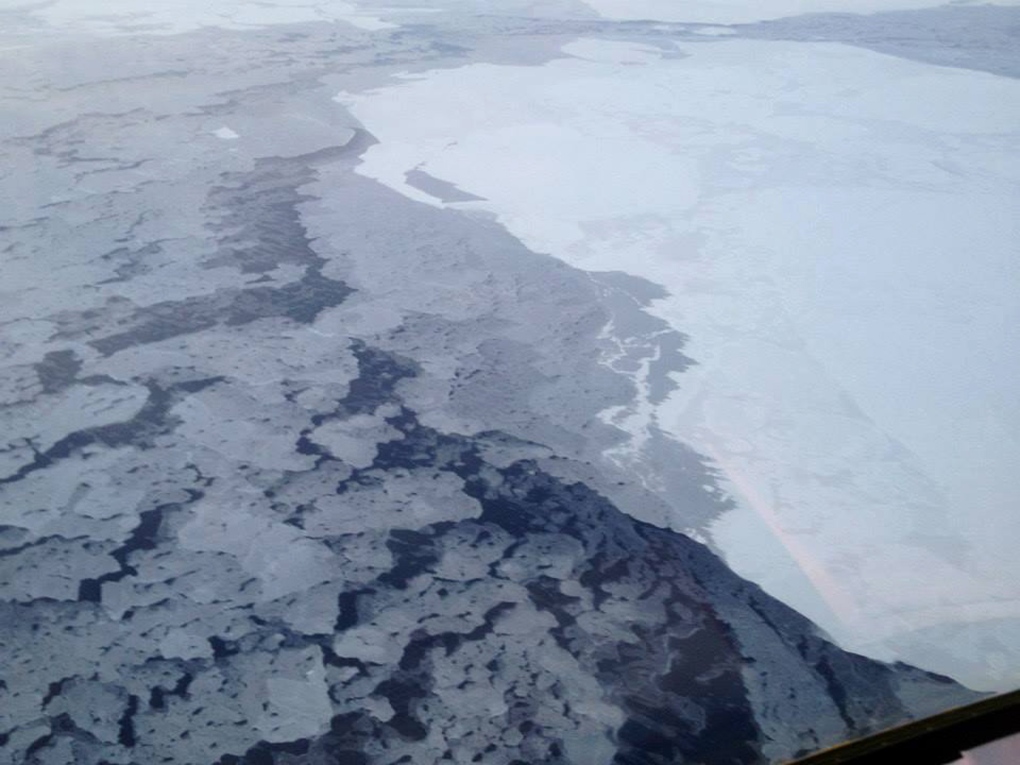 Arctic growing darker due to melting ice