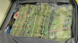 Cash seized during Project Sideshow is shown concealed in luggage. (Image courtesy Winnipeg Police Service)