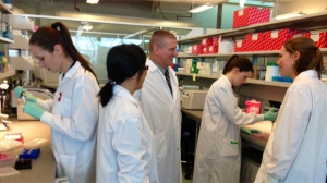 Researchers at the J.C. Wilt Infectious Disease Research Centre in Winnipeg, Man.