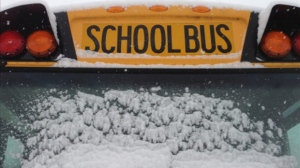 School bus - snow