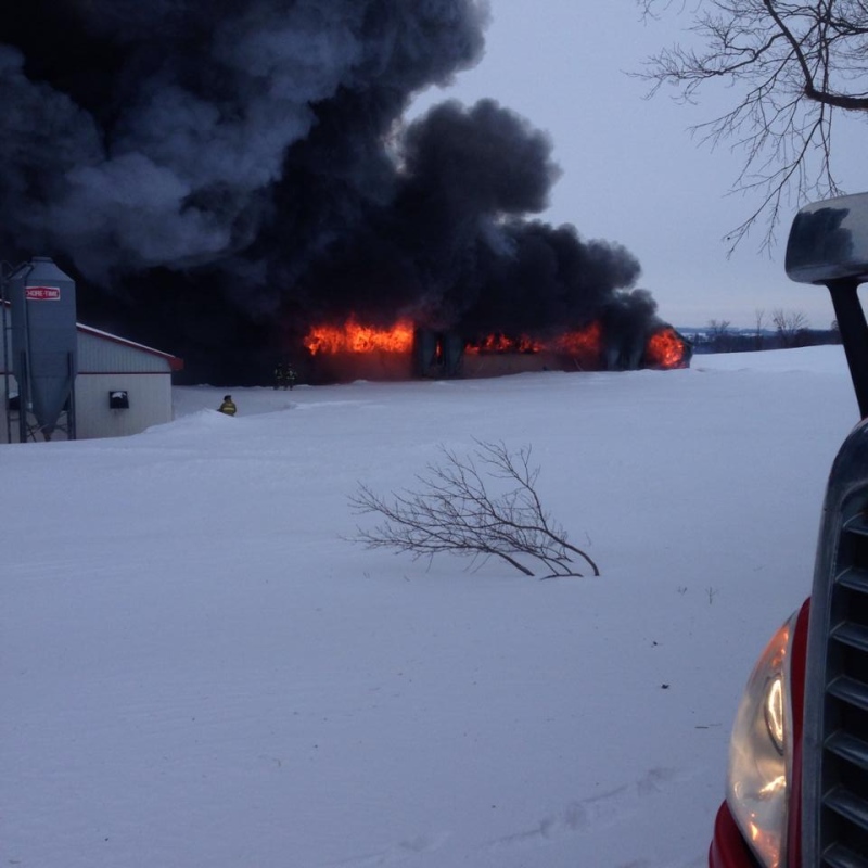A pig barn is engulfed in flames near Auburn, Ont. on Tuesday, March 4, 2014. (Courtesy Tyler DenDekker)