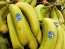 Chiquita bananas are piled on display at the Heinen's grocery store in Bainbridge, Ohio in this Aug. 3, 2005 file photo. (AP Photo/Amy Sancetta, file)