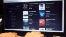 This file photo shows a website that offers the latest pirated movies and music for free download.  (THE CANADIAN PRESS/Ryan Remior)