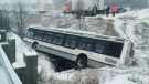 A Durham Region Transit bus sits in a ditch in Whitby, Ont. on Wednesday, March 12, 2014. (Dave Parsons / CTV Toronto)