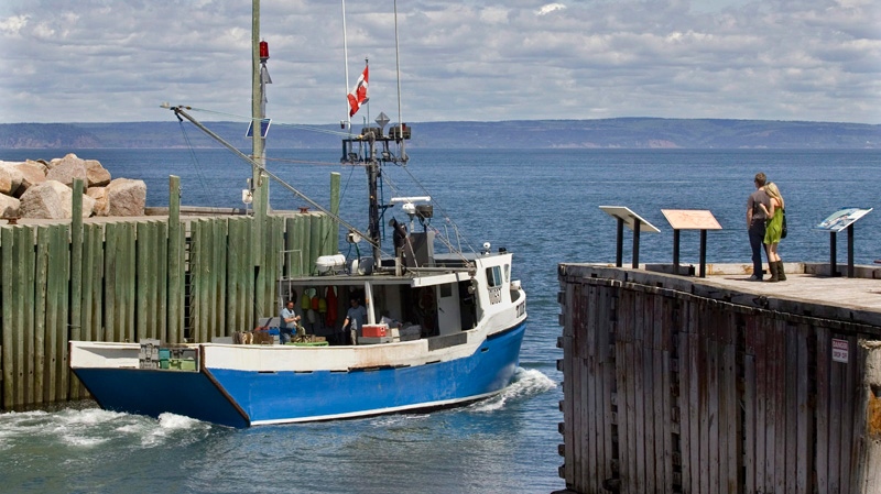 A fishing boat heads out into the Bay Of Fundy from Hall's Harbour, N.S. on Monday, June 8, 2009. (Andrew Vaughan / THE CANADIAN PRESS)