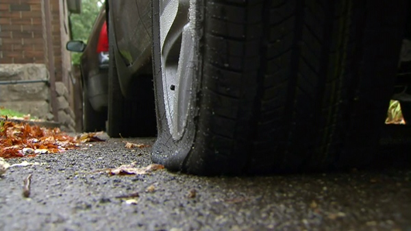 Police are investigating after car tires were slashed and property was spray painted in the  riding of St. Paul's.
