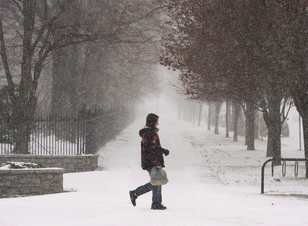 Pedestrian walks through Halifax winter storm