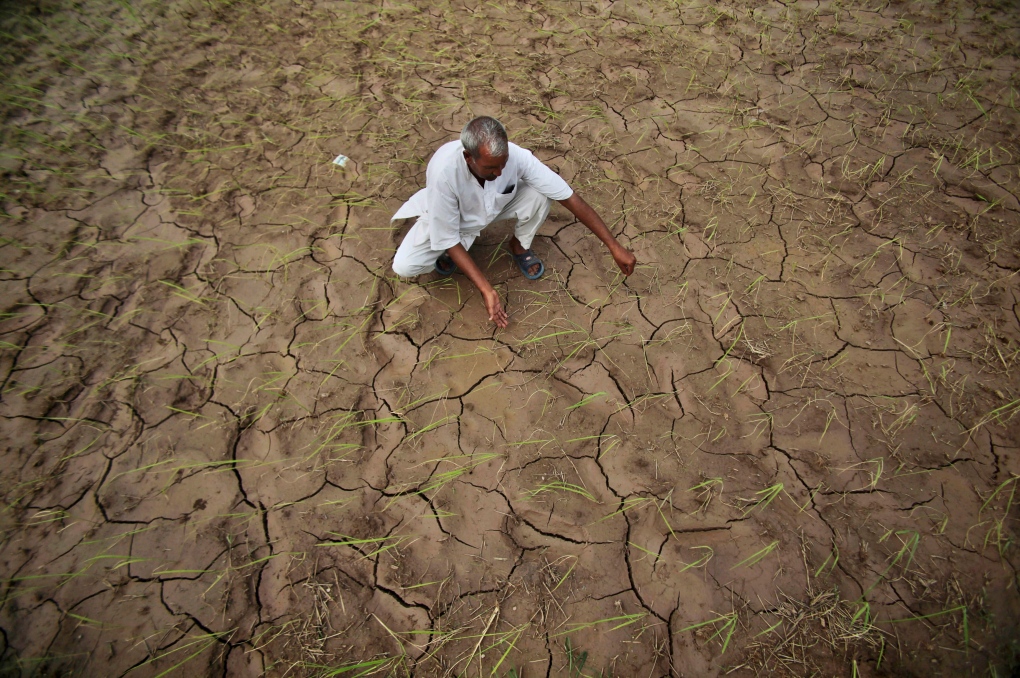 An Indian farmer in a dry paddy field 