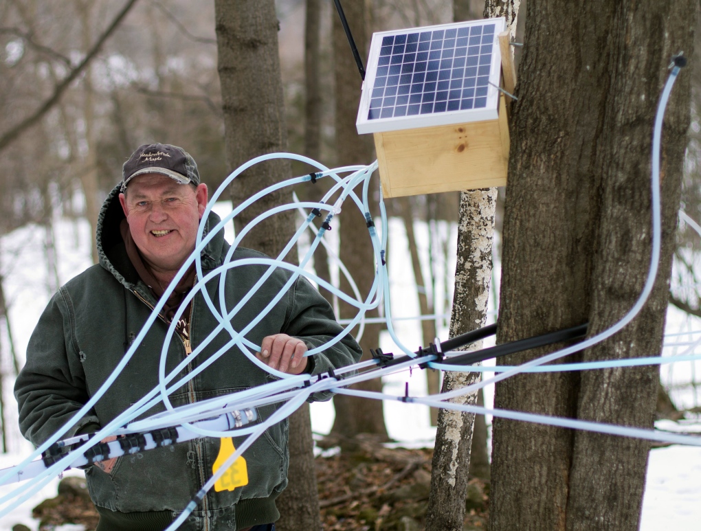 Maple syrup producers use new technology