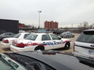 London police cruisers are parked near the building where a wanted woman was barricaded in London, Ont. on Thursday, April 3, 2014. (Nick Paparella / CTV London)