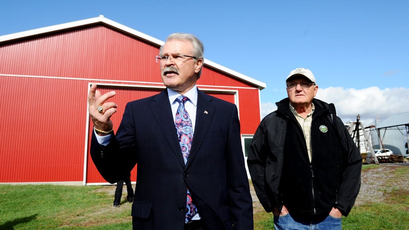 Agriculture Minister Gerry Ritz walks with cash cropper Don Kenny on his farm in Ottawa on Tuesday, October 18, 2011 prior to making an announcement regarding the government's bill to eliminate the Canadian Wheat Board. (Sean Kilpatrick / THE CANADIAN PRESS)