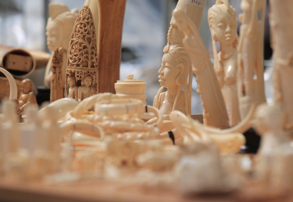 Ivory objects seized at Brussels airport