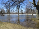 Walking along Riverside Drive in Ottawa South on Wednesday, Apr. 9, 2014. Water extremely high. (Sandi Coy/MyNews)