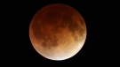 The moon glows a red hue during a total lunar eclipse Tuesday, April 15, 2014, as seen from the Milwaukee area. (Milwaukee Journal-Sentinel / Mike De Sisti / AP)