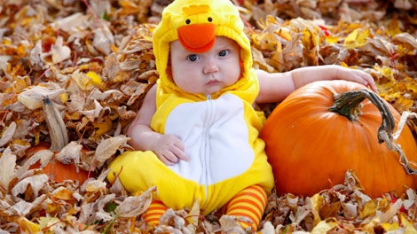 MyNews user Brenda Tucker sent in this photo of her granddaughter Emily Rose with a pumpkin in New Hamburg, Ont.