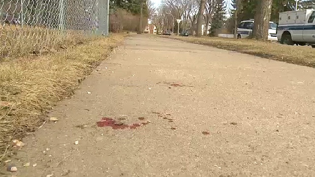 Residents of a northwest Edmonton neighbourhood were shocked after a dog on the loose killed a smaller dog in a bloody attack Monday, April 21.