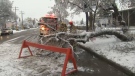 Fire crews respond to downed branches on Acadia Drive following heavy snowfall