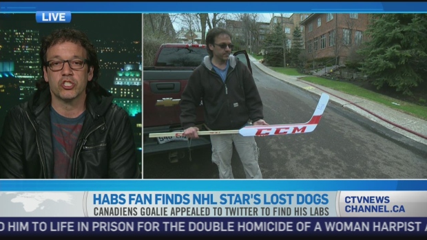 Carey Price's 2 missing Labs found by local Montreal Habs' fan