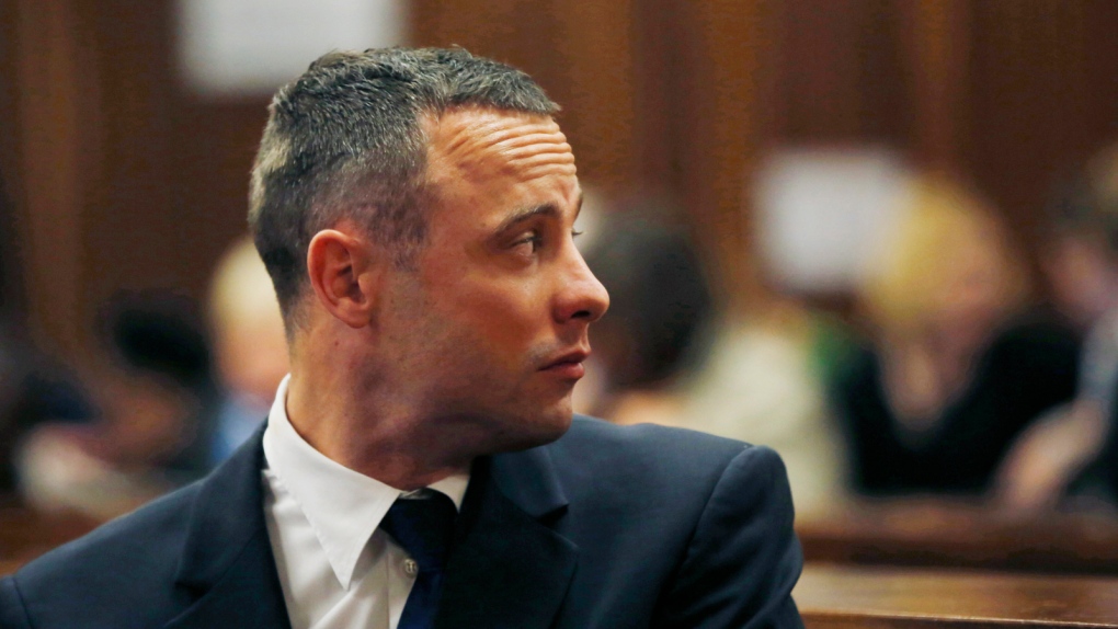 Pistorius' neighbour testifies at murder trial