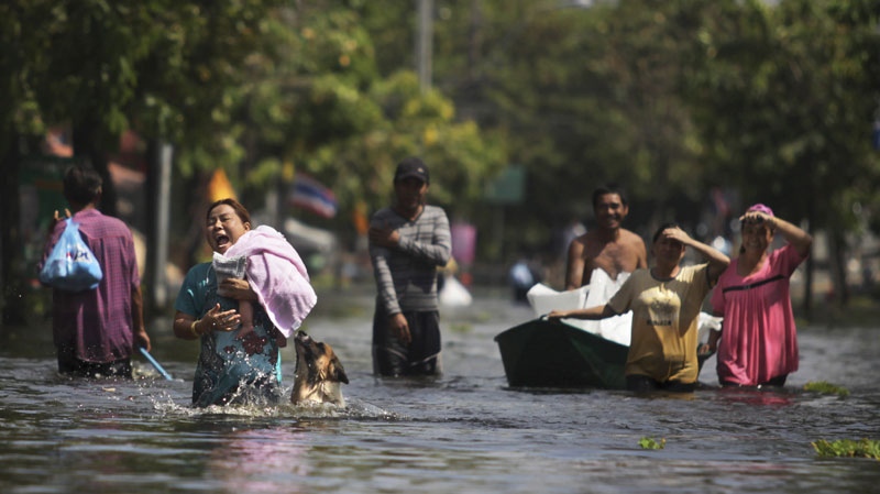 A pet dog follows a woman carrying a baby along a flooded street in Bangkok on Nov. 9, 2011