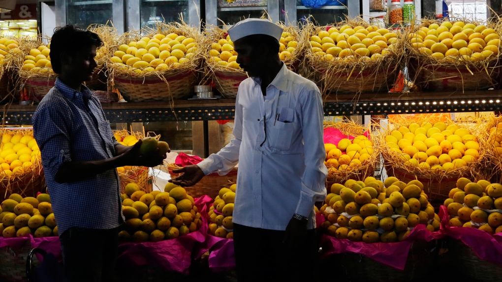 Alphonso mangoes for sale in Mumbai, India