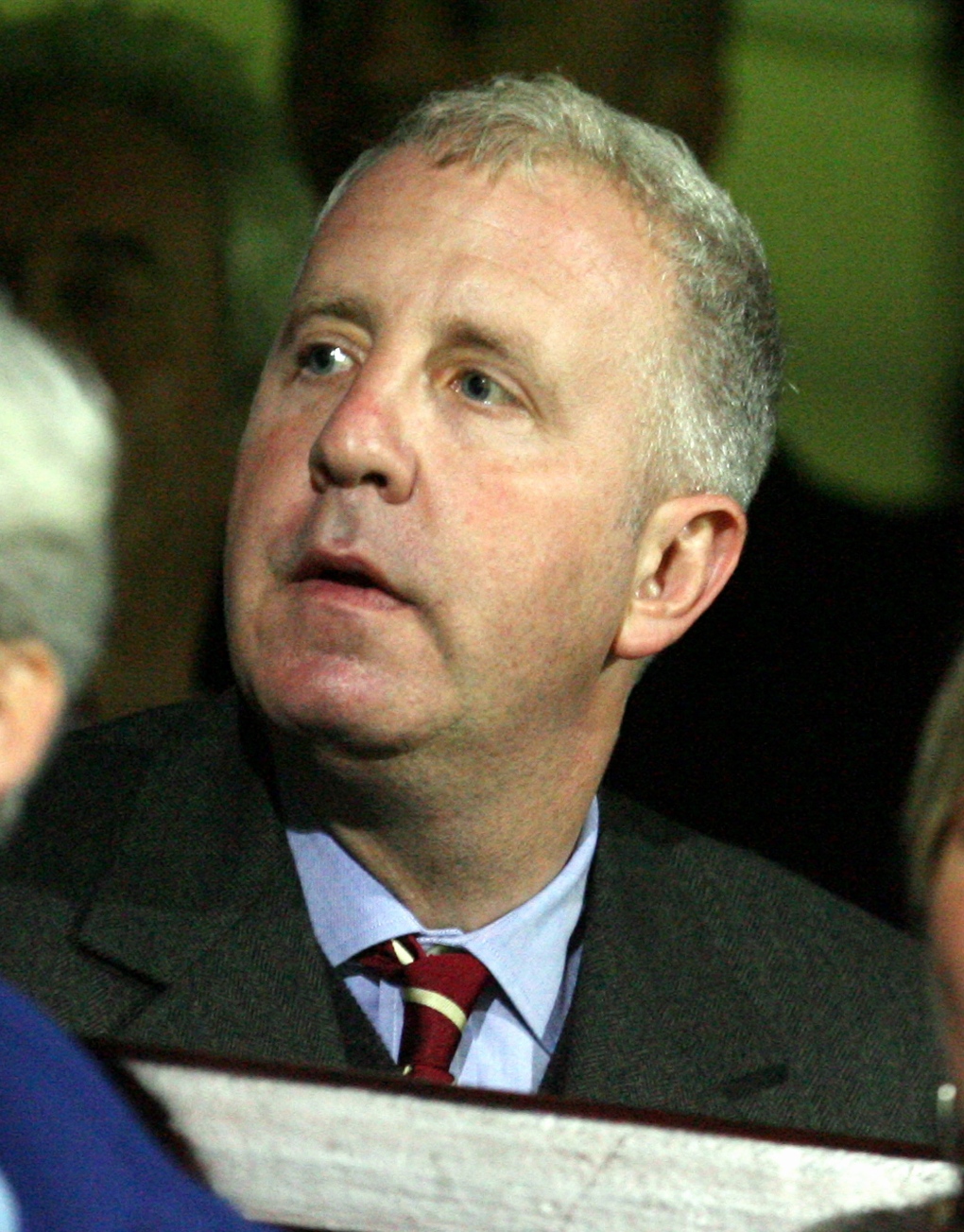 Aston Villa owner Randy Lerner watches his team