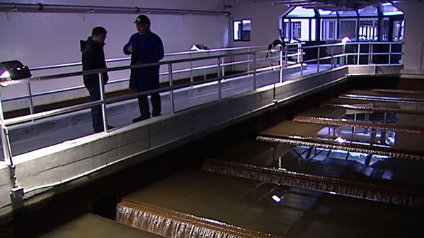 CTV Ottawa went on a tour of the city's water filtration plant to see how the city purifies its water.