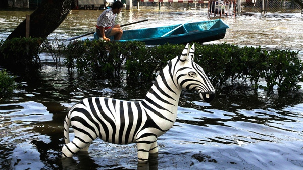 A man rows his boat through floodwaters near a statue of zebra in Bangkhunthian district in Bangkok, Thailand, Tuesday, Nov. 15, 2011.  (AP / Sakchai Lalit)