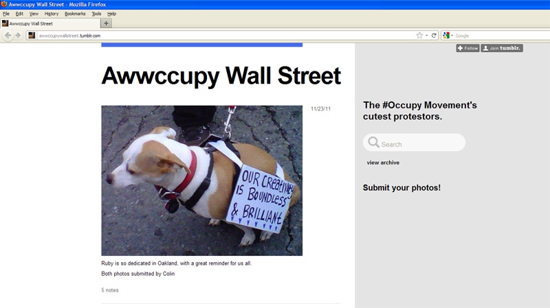 The "Awwccupy Wall Street" blog features pictures of protesting pets. 