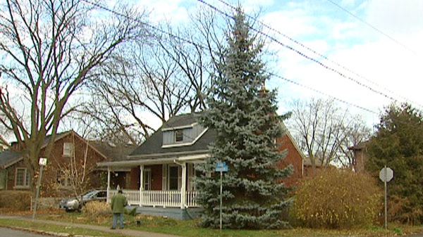A man was killed while putting up Christmas lights on this tree in Guelph, Ont. seen on Friday, Dec. 2, 2011.