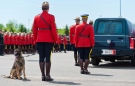 An officer holds Const. David Ross' dog Danny at the funeral procession for the three RCMP officers who were killed on duty, at their regimental funeral at the Moncton Coliseum in Moncton, N.B. on Tuesday, June 10, 2014. (Marc Grandmaison / THE CANADIAN PRESS)