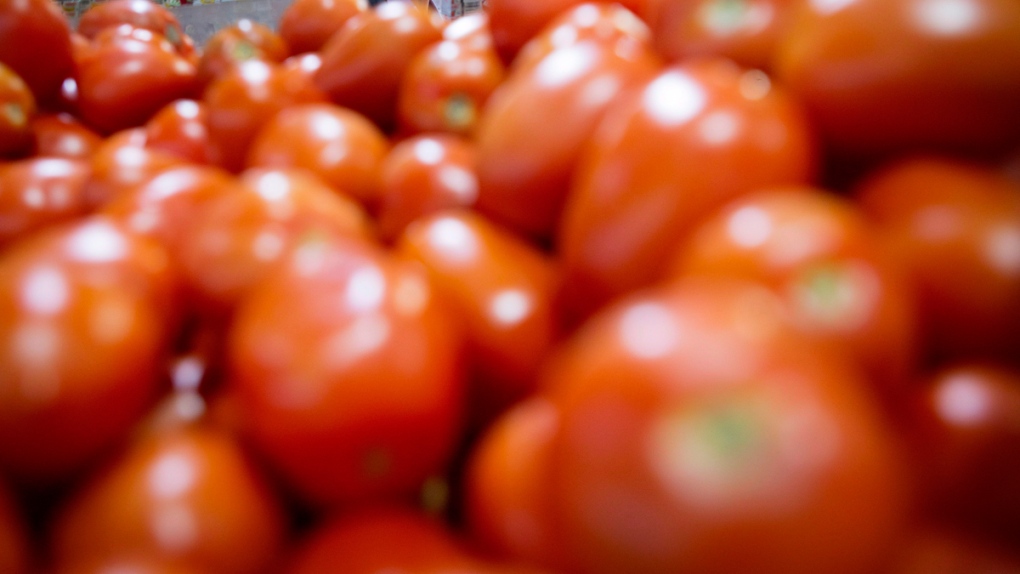 Tomatoes at Eraa Supermarket in Toronto